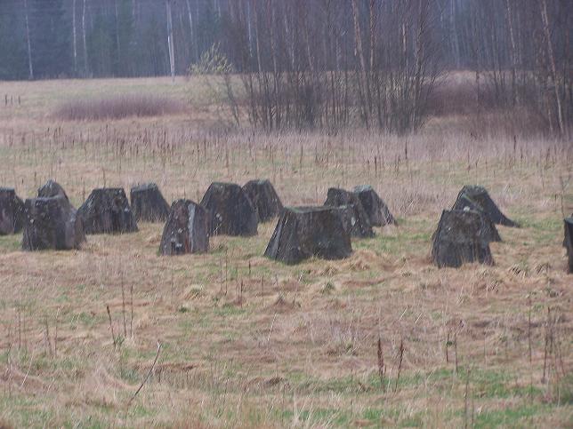 000_0570.JPG