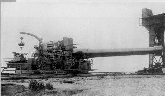 41cm.jpg