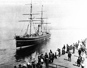 Linjeskön.jpg