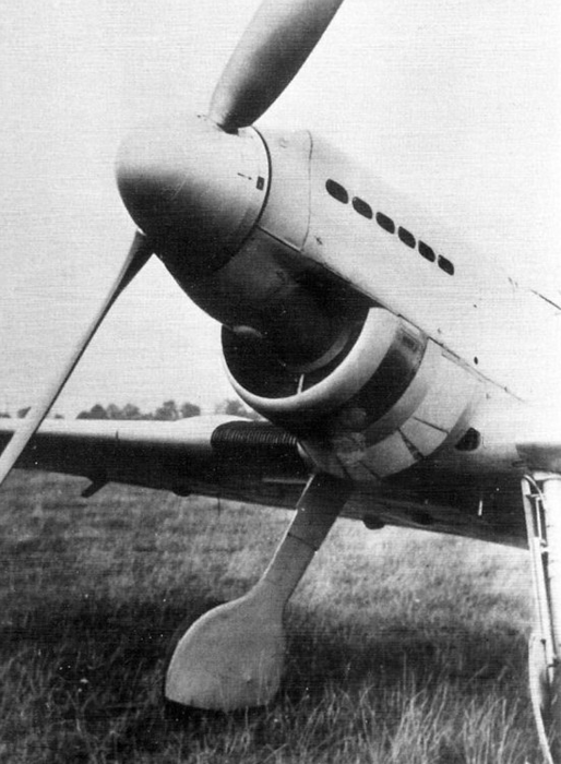 D-IABI.png