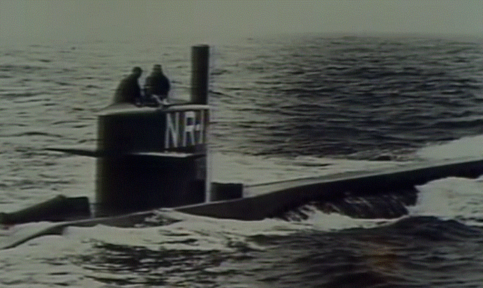 NR1.gif