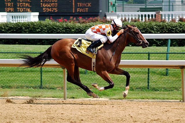 modern-jockey.jpg