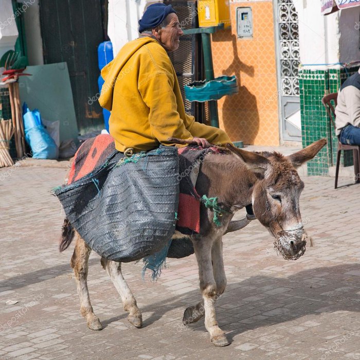 donkey.jpg (174.66 KiB) Visad 2554 gånger donkey.jpg