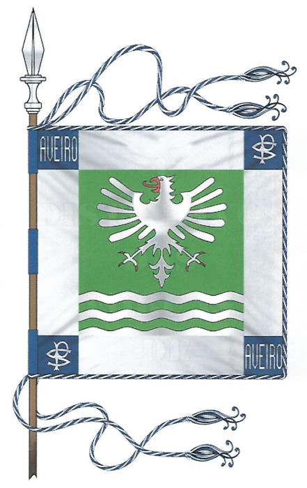 pspaveiro.jpg
