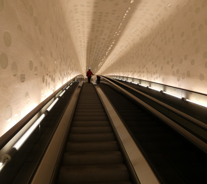 P1000074.JPG