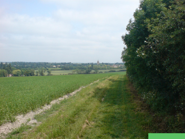 DUXFORD WALK.JPG