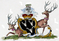 Skalman.JPG