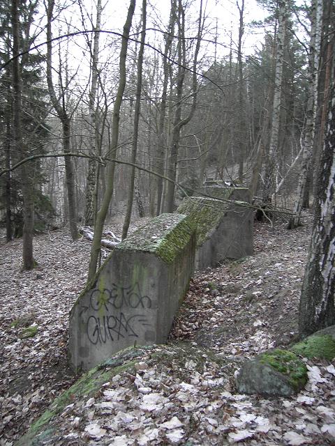 pianon.JPG
