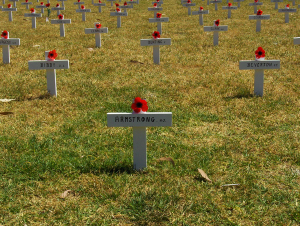 CrossesandPoppies.jpg