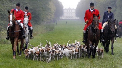 fox-hunt.jpg