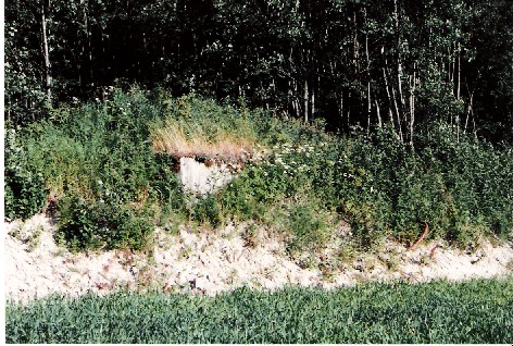 bunker01.jpg