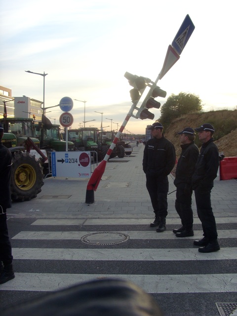 SI853263.JPG