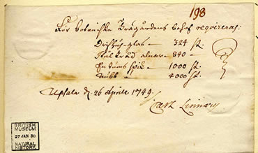 Linnaeus_370_7811_1.jpg