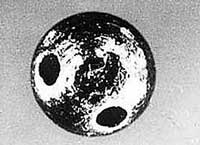 litet klot.jpg