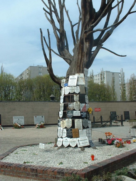 tree.JPG