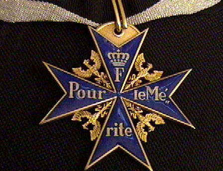 plmlarge01.jpg
