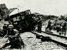 img135.jpg