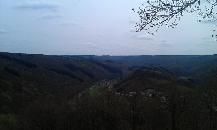 IMAG0826.jpg
