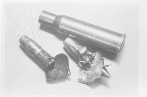moscowbullets4.jpg
