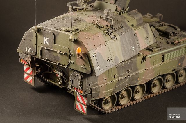 pzh2.jpg