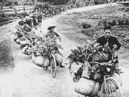 Cykeltransport.jpg