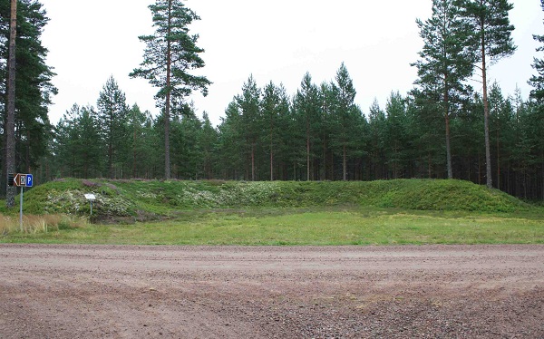 skog.jpg