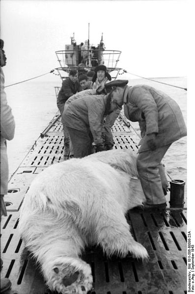 Bear inte beer.jpg