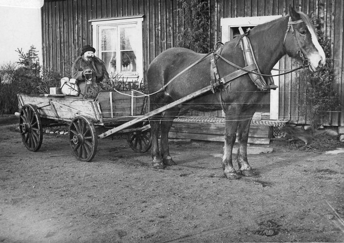 vagn.jpg