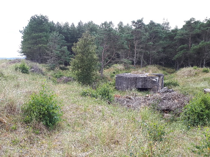 Värn 1.jpg