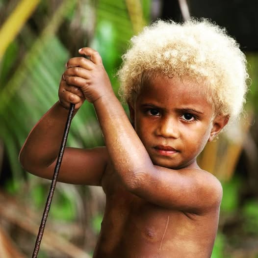 nyblond.jpg
