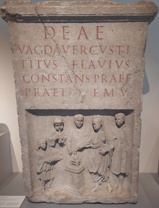 Vagdavercustis.jpg