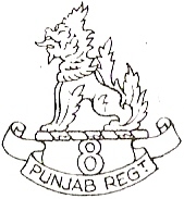 8punjabrgt.jpg