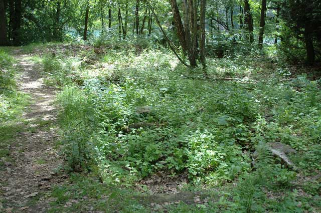 DSC_6503.jpg