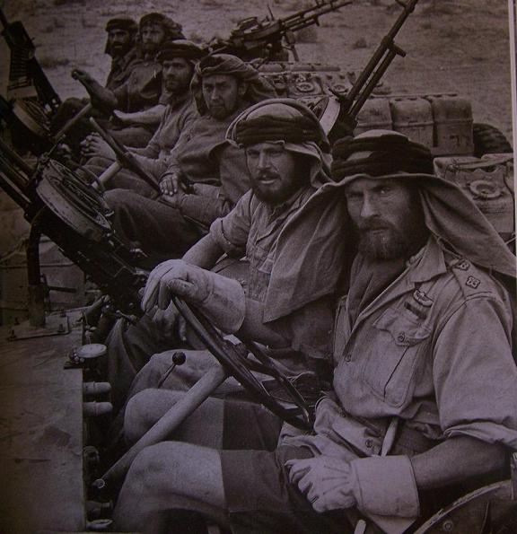 sas.JPG